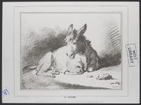 Seated donkey