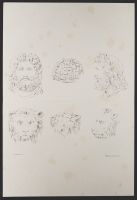 Three human heads and three lion heads