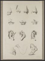 Four studies of noses, three studies of mouths, three studies of  ears, one study of a foot and two studies of hands