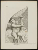 Winged putto, turned to right