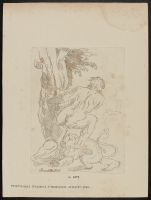 Male nude (Hercules?)