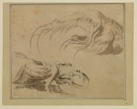 Two heads of monsters