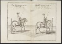 Two equestrian studies - moving the horses around the poles