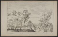 Rocky landscape with trees