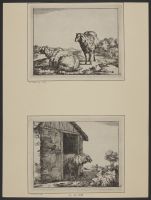 Two sheep in a landscape