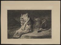 Lionne d'Egypte