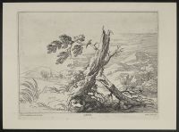 Landscape with Broken Tree
