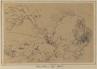 Page of an album
