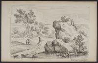 Rocky landscape