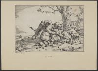 Bear attacked by hounds