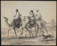 Abâbdeh Riding Dromedaries