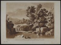 Trees and Rocks by a Stream