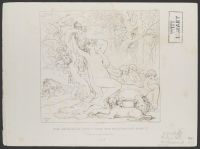 Despair of Venus Over the Dead Body of Adonis, The