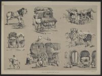 Prout's Microcosm, plate 23