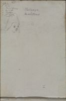 Study of girl's head
