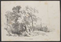 View of a church seen through trees