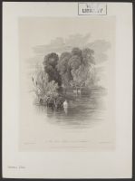 An Osier Island near Cookham.