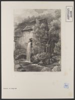 Near Dolgelly