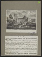 Ely