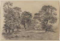 Landscape with a meadow and trees