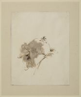 Head of a man, seen from below