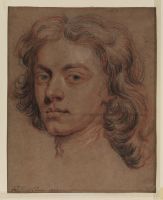Head of a young man