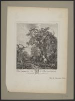 Rural scene