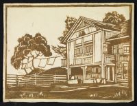 House, tree and washing line