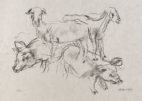 Apulia - Two sheep, two little pigs (Zwei Schafen, zwei  Schweinchen)