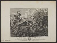 Wild boar hunt