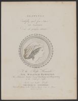 Drawings at Naples (Lady Hamilton's Attitudes)