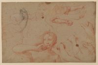 Sheet of figure studies for 'The Judgment of Paris'