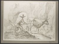 A herdsman with cattle