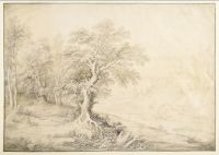 River landscape