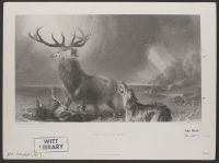 The Works of Sir Edwin Landseer