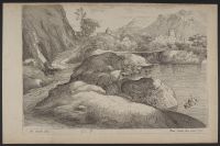 Rocky landscape