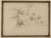 Windswept bank with trees