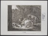 Dog, cow, and donkey in a barn