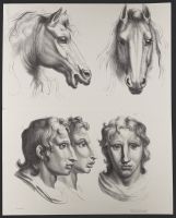 Three male human heads and two horse heads