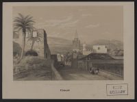 View near the 'Praça da Constituiçaô', Funchal