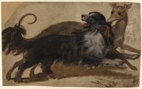 A greyhound and a spaniel
