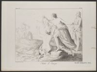 Rape of Europa