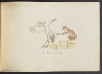The fox at home