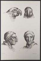 Two male human heads and two parrot heads