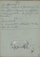 Sketch of pigs and chickens