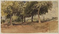 Hampstead Heath