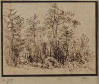 A Wood