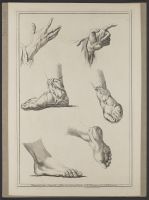 Two studies of a hand and four studies of a foot