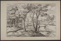 Landscape with trees