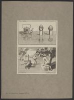 Plate 31: Two scenes showing that reflections in water must always be perpendicular with the objects above them